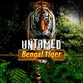 Untamed Bengal Tiger игровой автомат